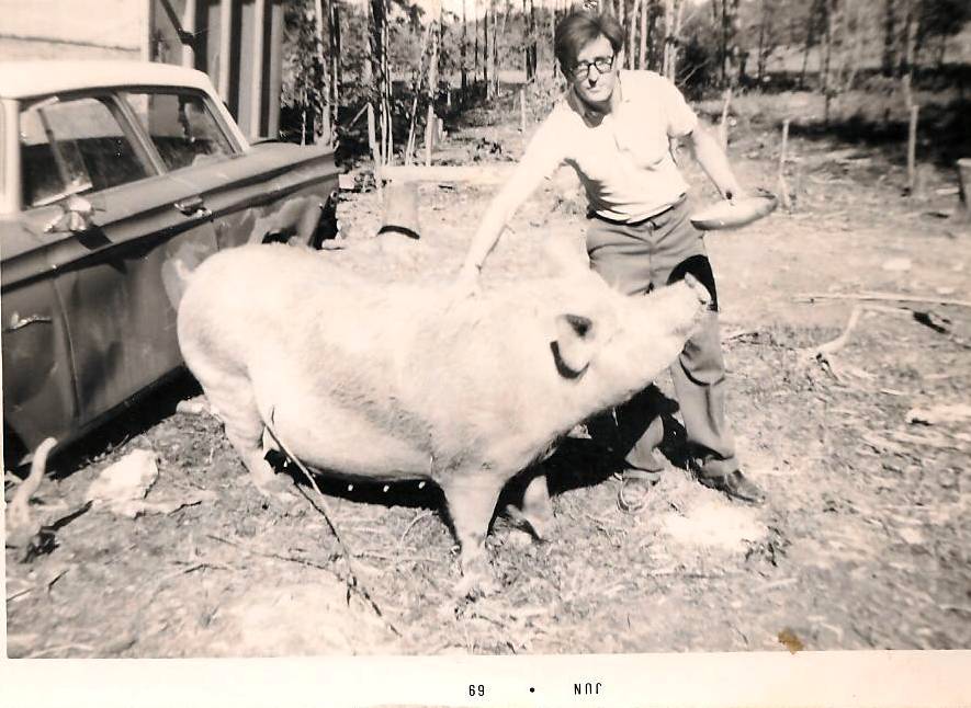 1969 Dad and his pig